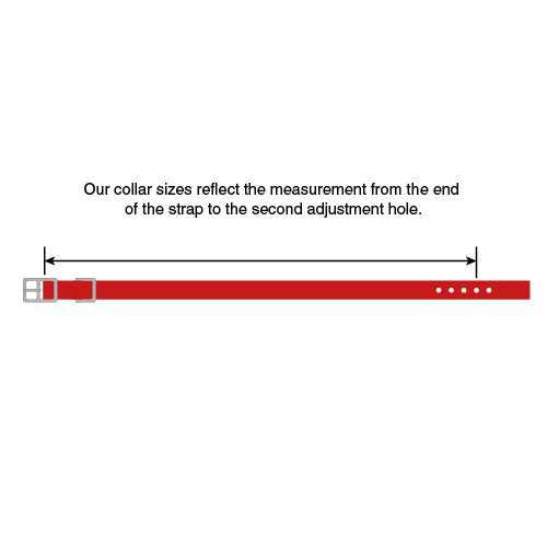 Dog Collar I27616