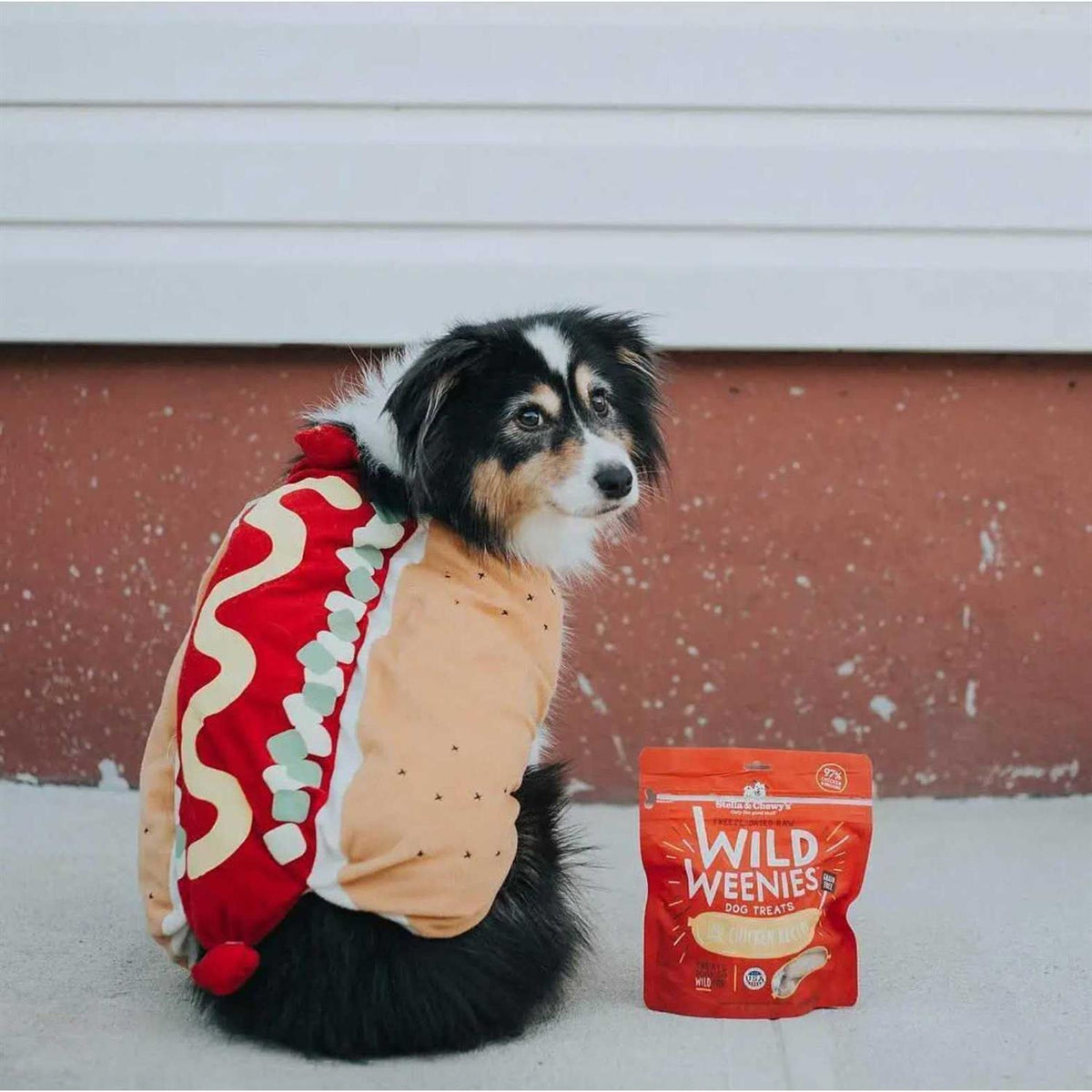 Freeze Dried Dog Treats I903