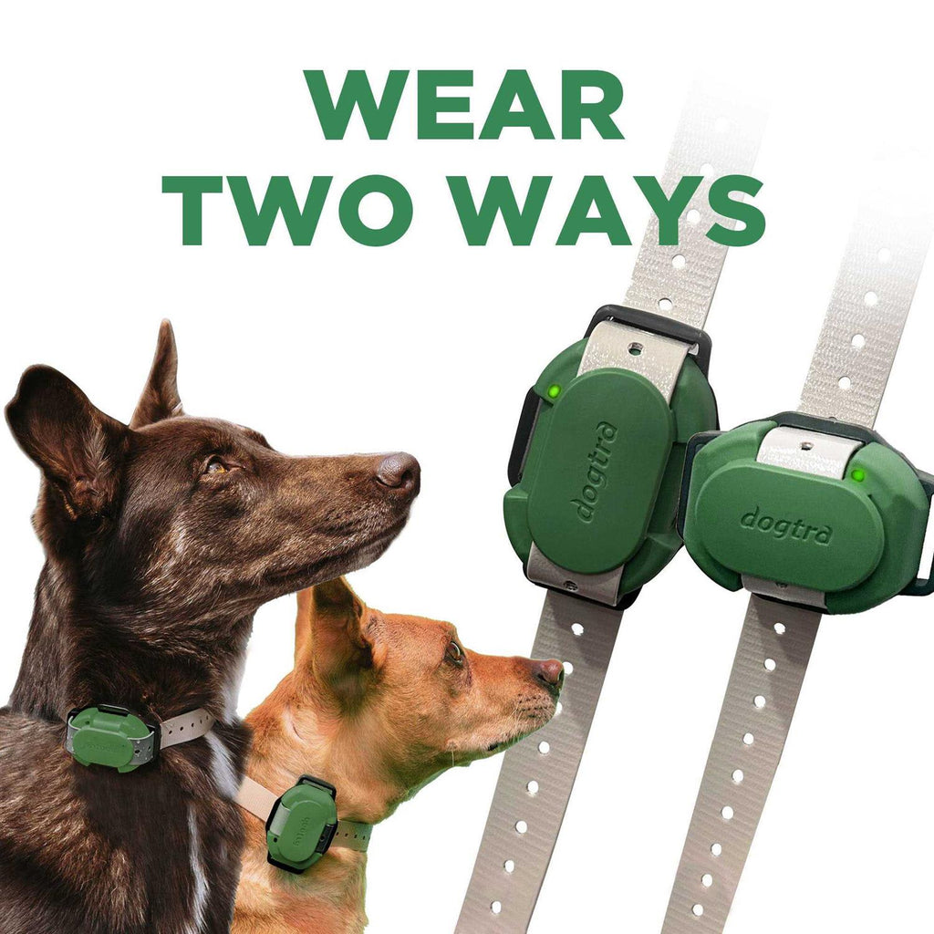 Pet Supplies W11336