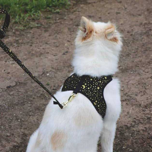 Adjustable Dog Harness Y9516