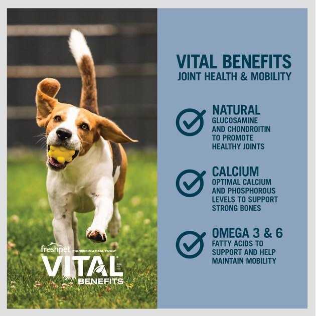 Fresh Dog Food B648397