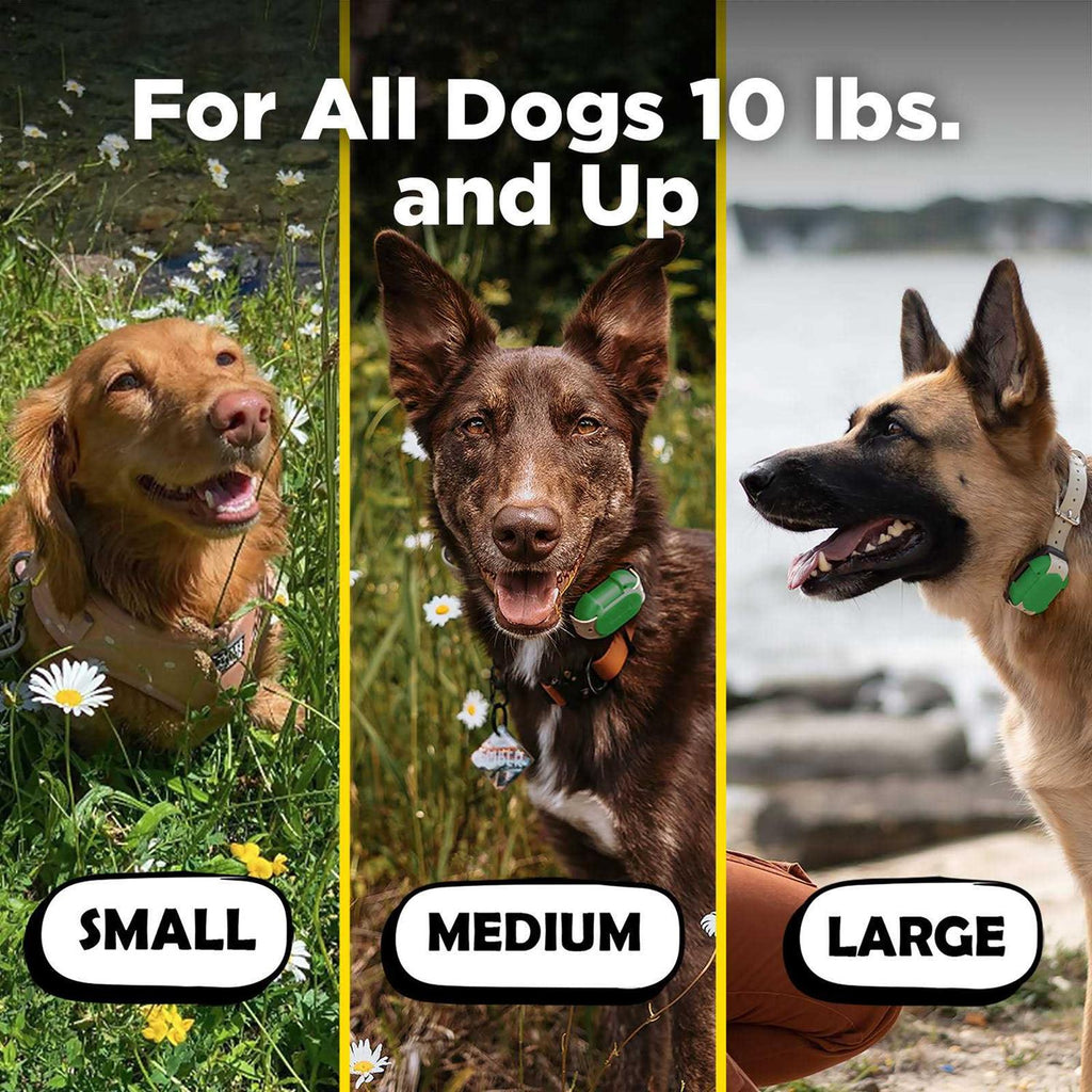 Pet Supplies W11336