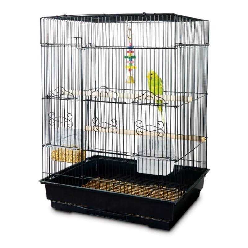 Square Top Parakeet Cage 16.5 L x 11.8 W x 22 H X503863