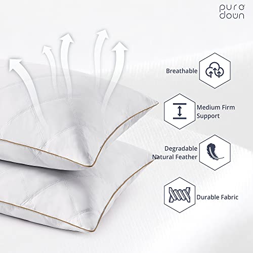 Goose Feathers and Down Pillow Set of 2 Queen F71021
