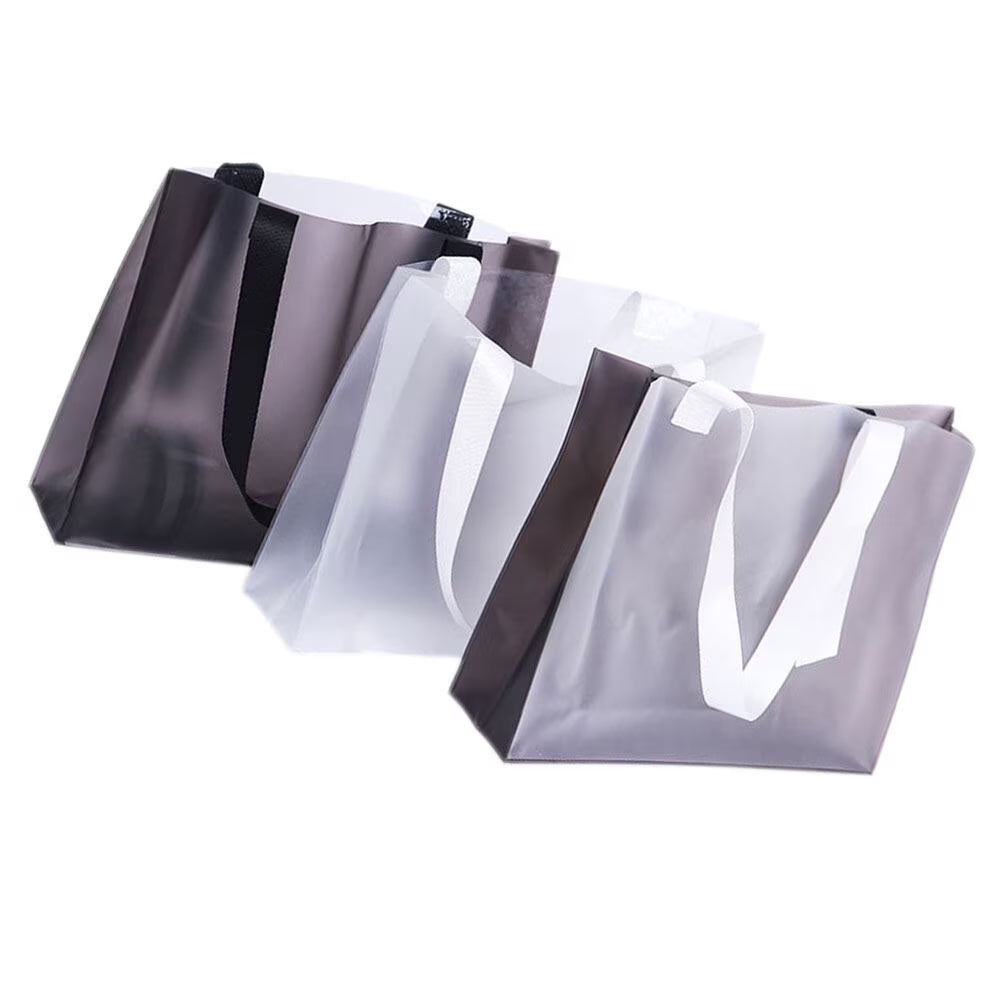 Frosted Clear Waterproof Storage Bag E36523