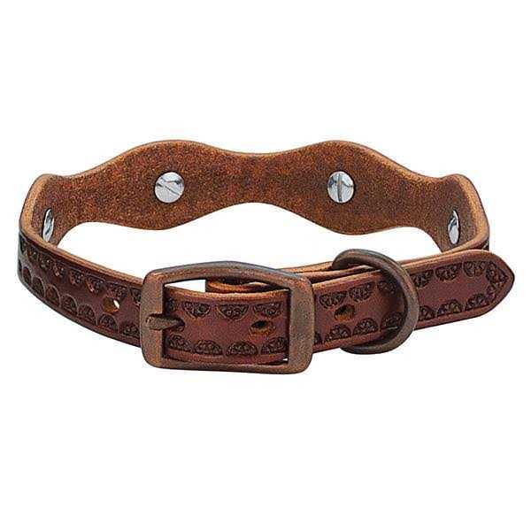 Dog Collar I27616