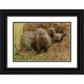 Black Ornate Wood Framed Art Print S196459