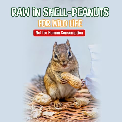 Raw Peanuts in Shell 8 Pounds X679835