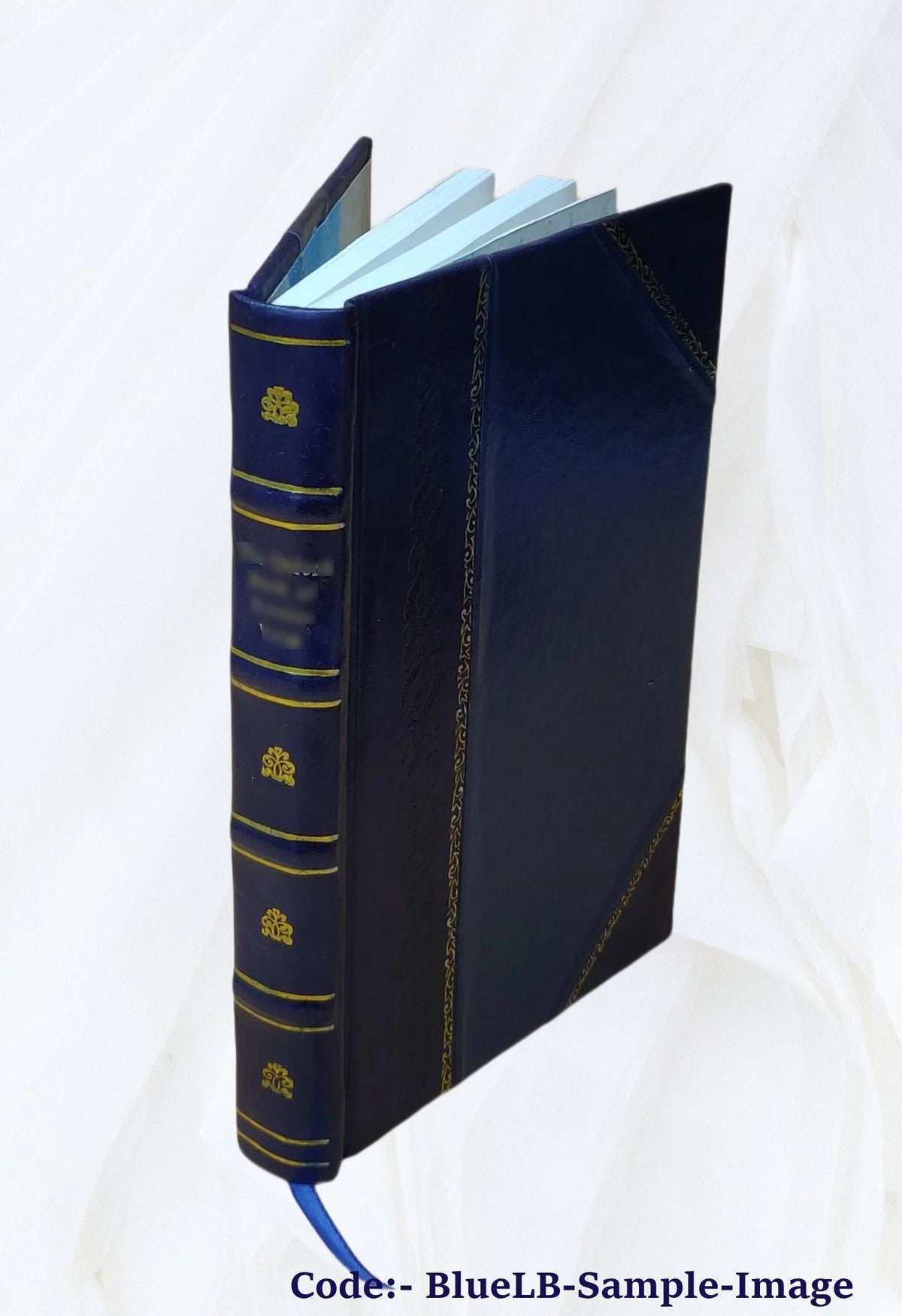 Leather Bound Book F59026