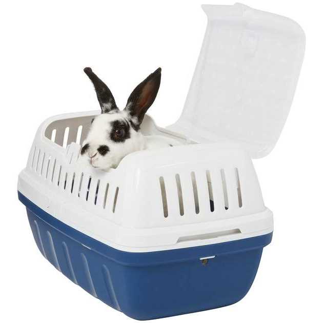 Small Pet Carrier N672796