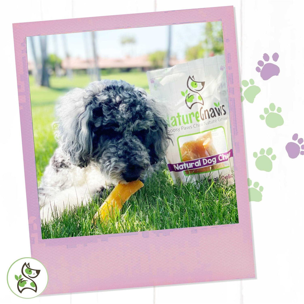 Beef Tendon Dog Chews Q912