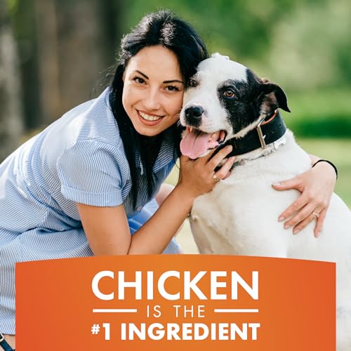 Chicken Jerky Dog Treats 16 oz G761