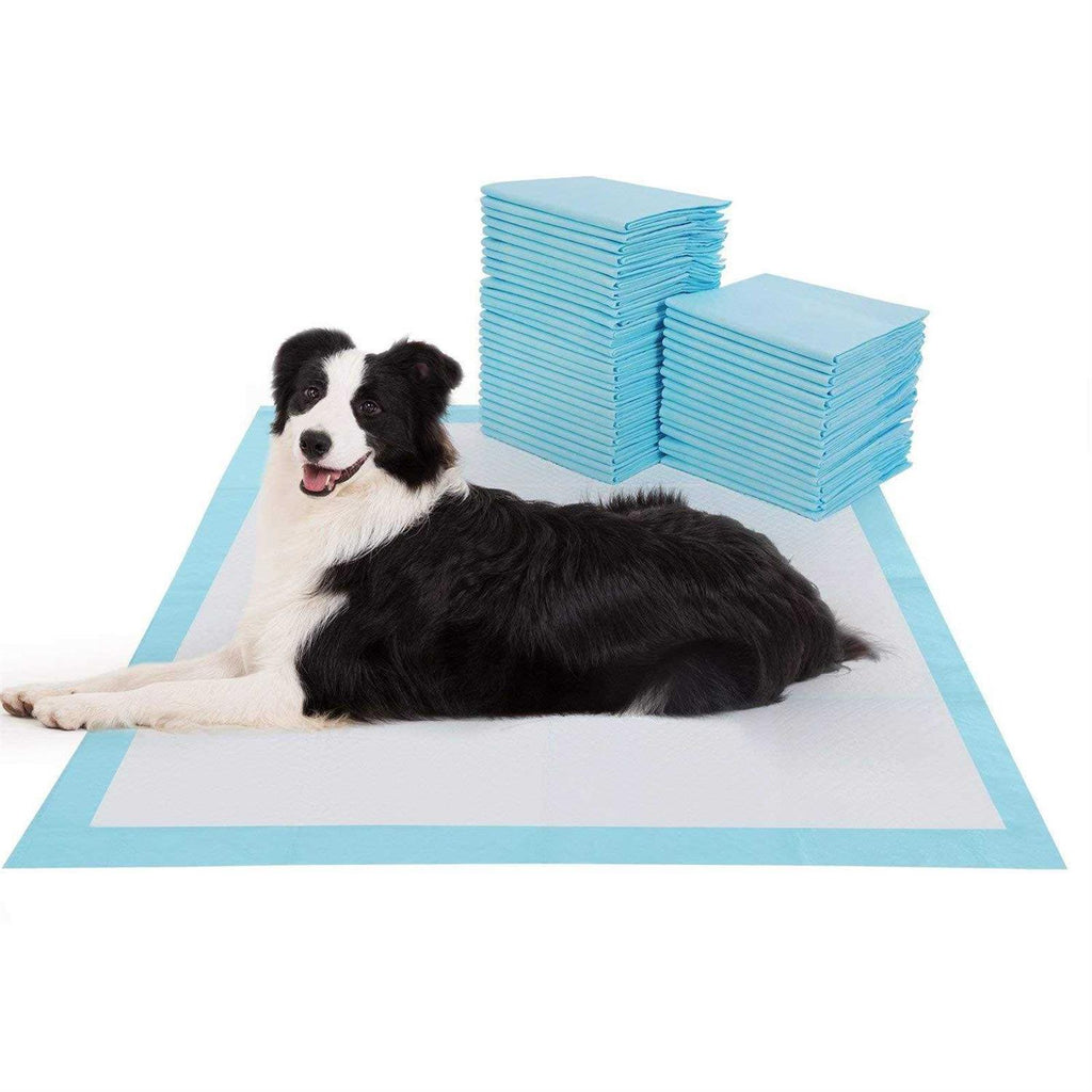 Large Super Absorbent Leak-Proof Pet Training Pads V293311