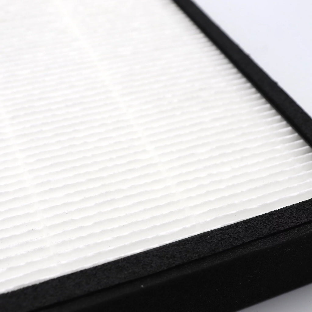 True HEPA Carbon Filter J Replacement, 2 Pack G6071