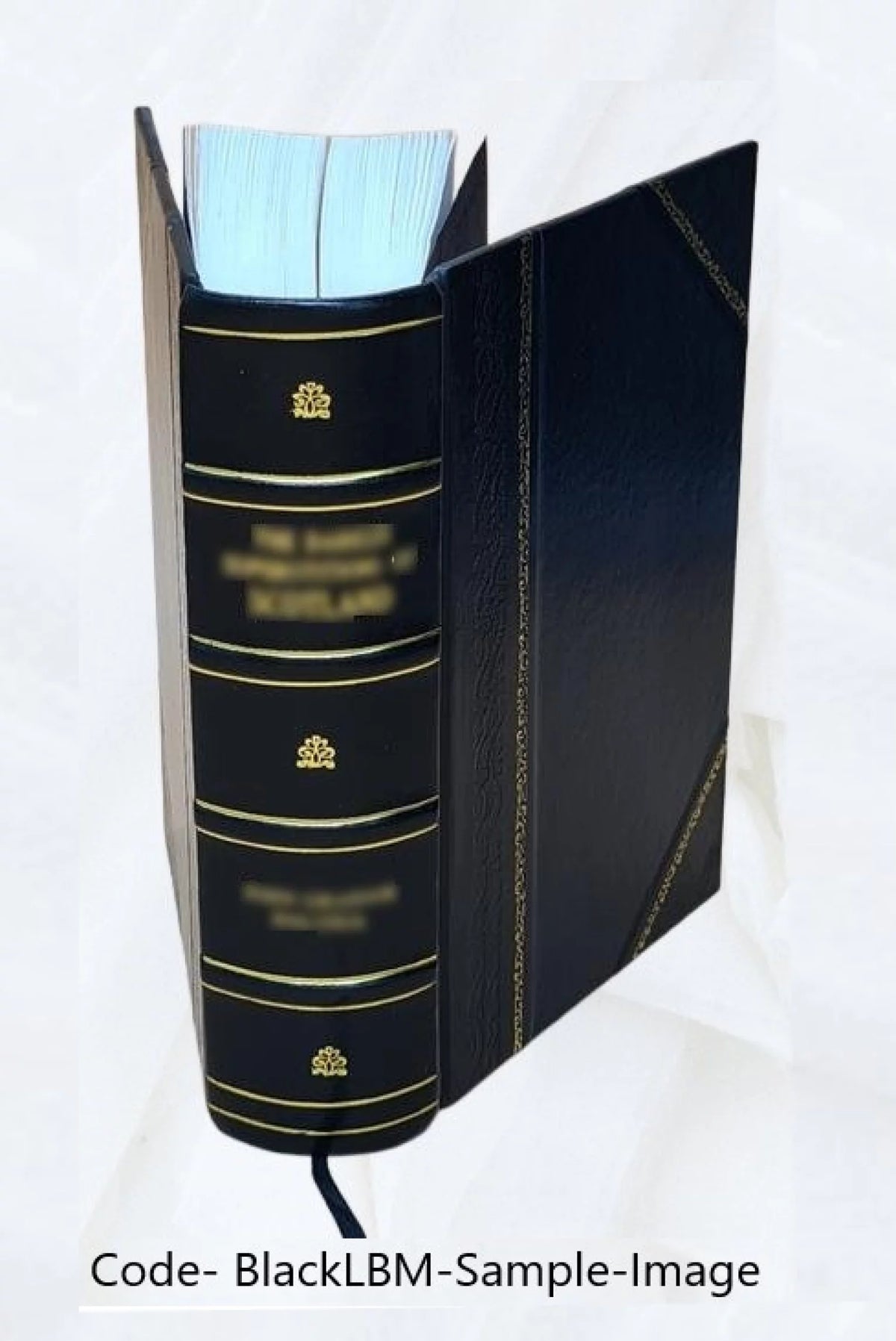 Leather Bound J517