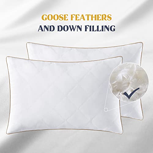 Goose Feathers and Down Pillow Set of 2 Queen F71021