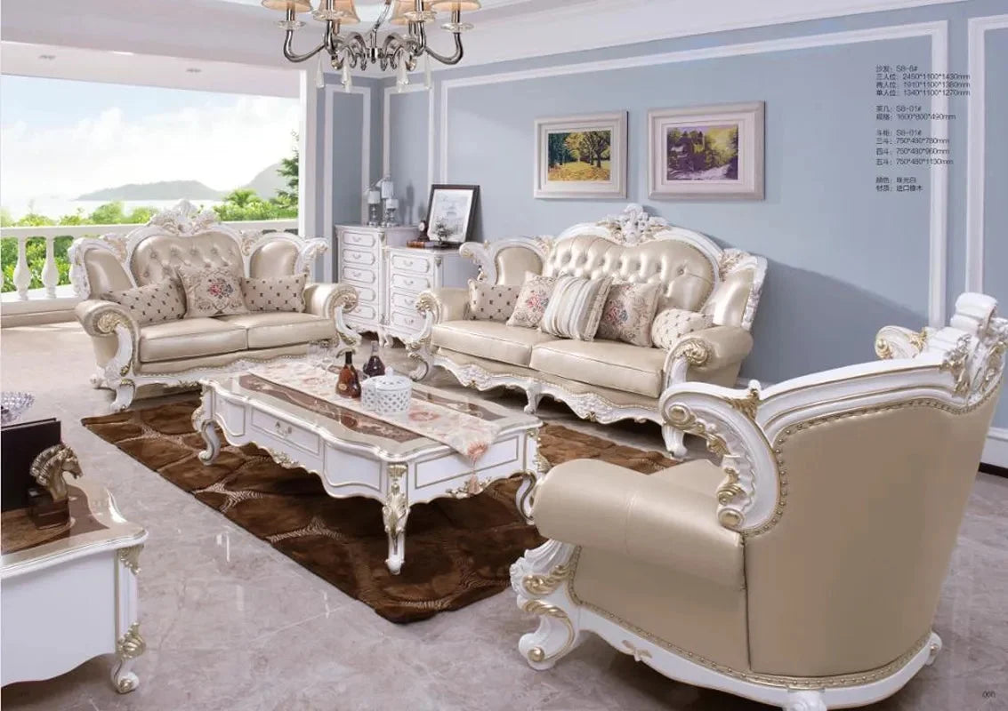 Genuine Leather Sofa Set Y510