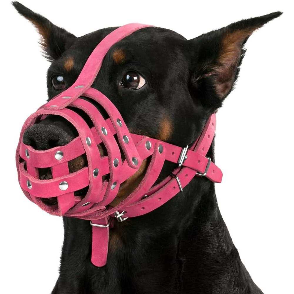 Leather Dog Muzzle Medium Large Breeds B998
