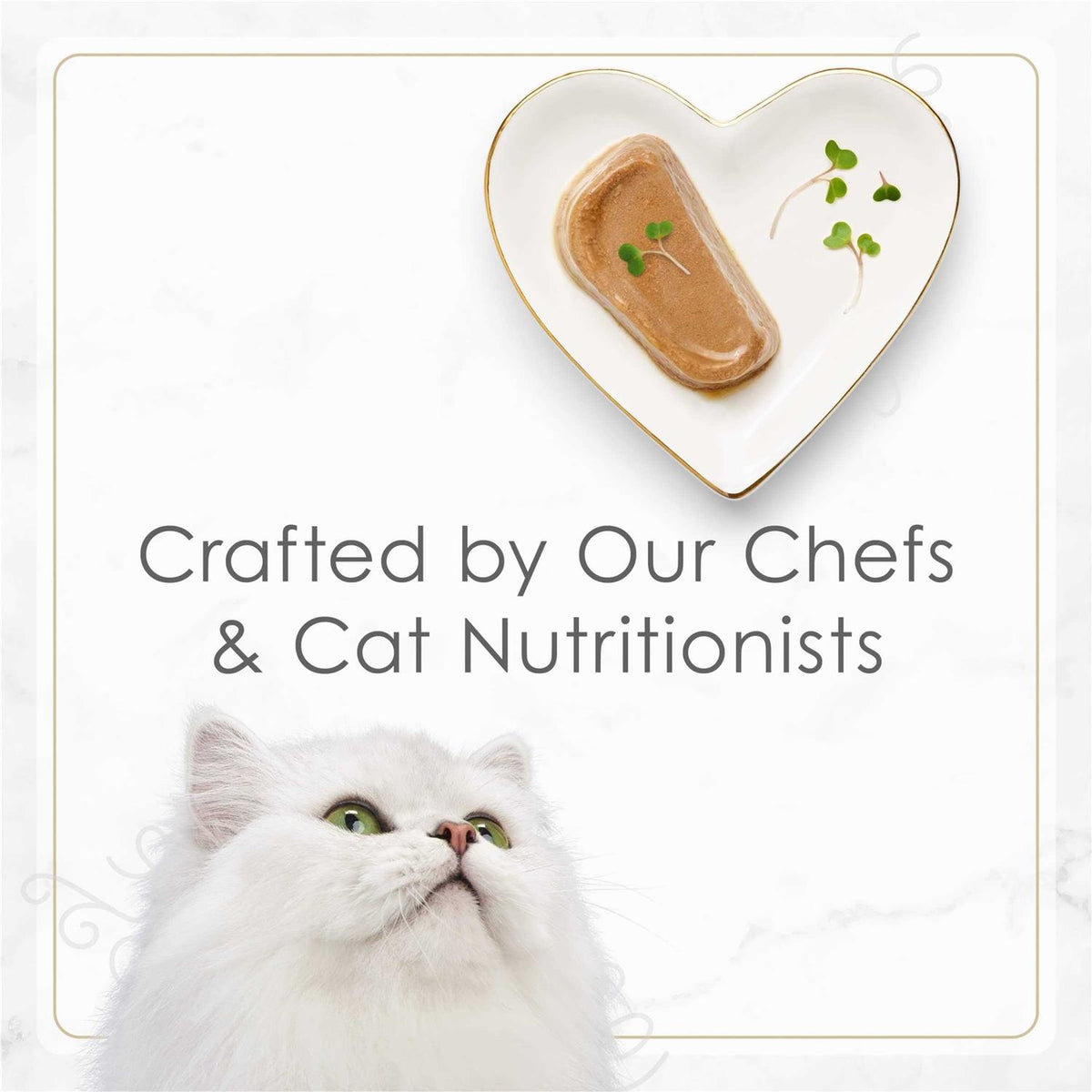 Tender Turkey Pate Wet Cat Food A32073