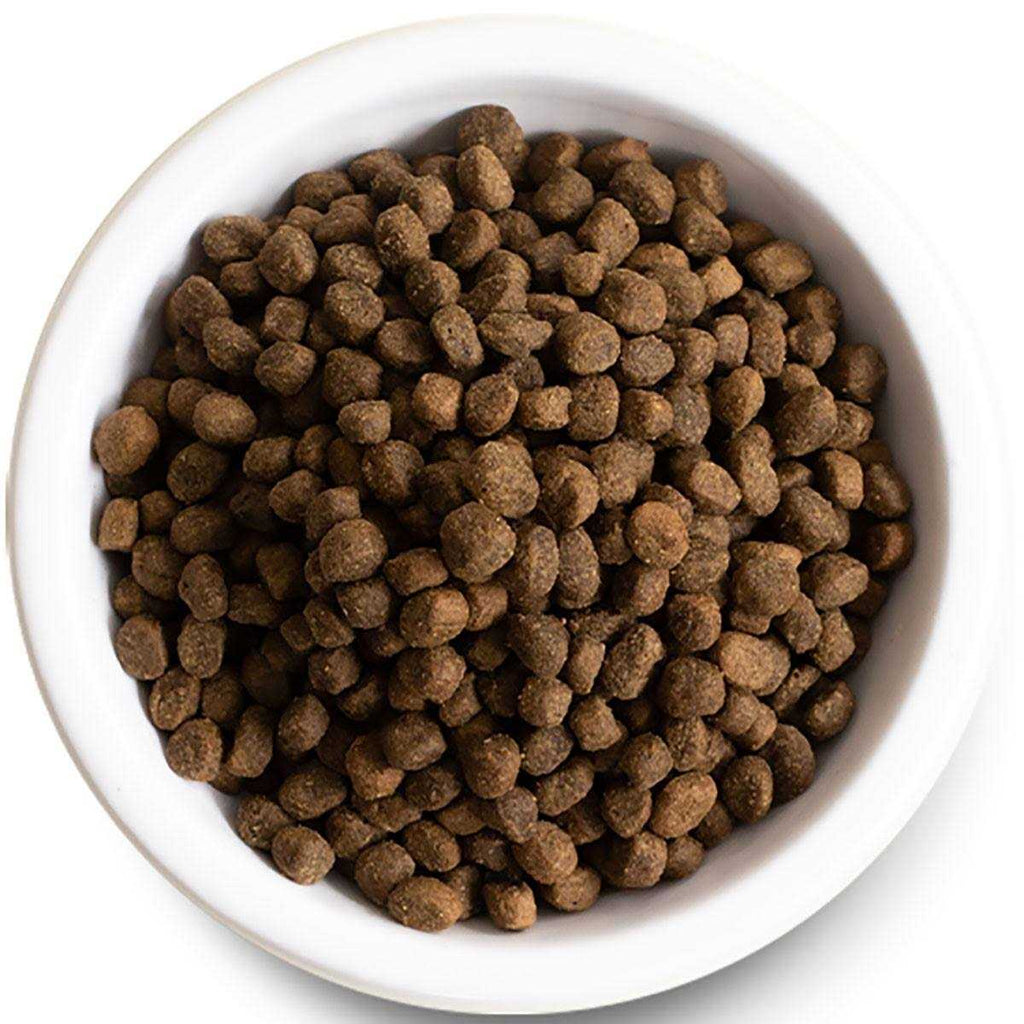 Grain Free Grass Fed Beef Dry Dog Food G646