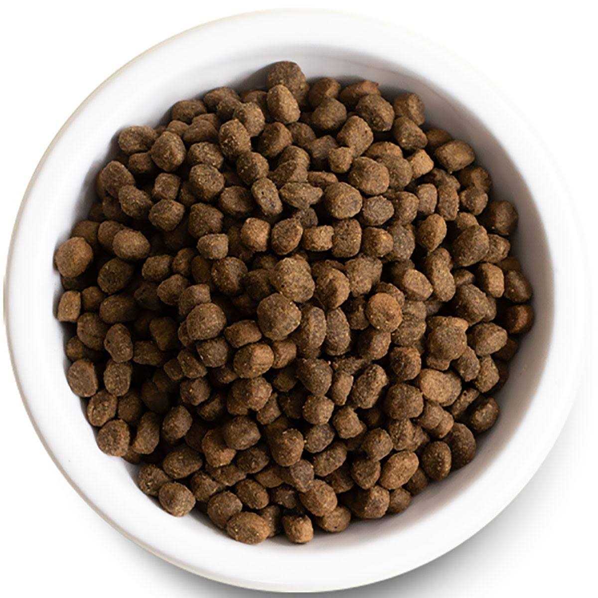 Grain Free Grass Fed Beef Dry Dog Food G646