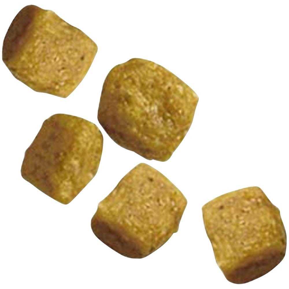 Chicken & Rice Formula Toy Breed Dry Puppy Food Y7998