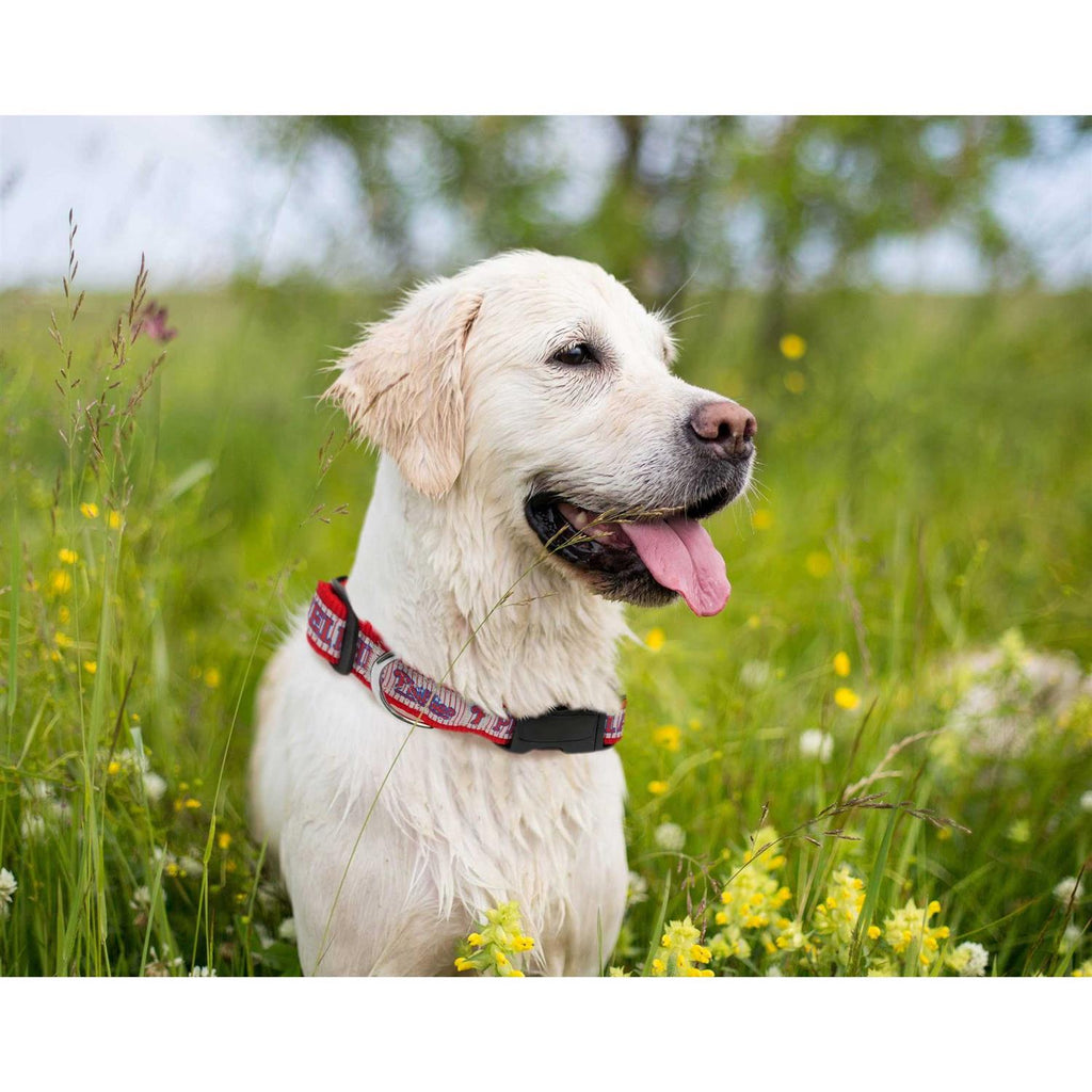 Pet Dog Collar L55378