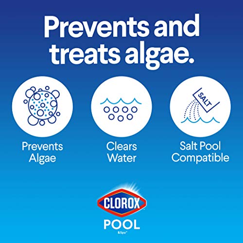 Pool Algaecide G702805