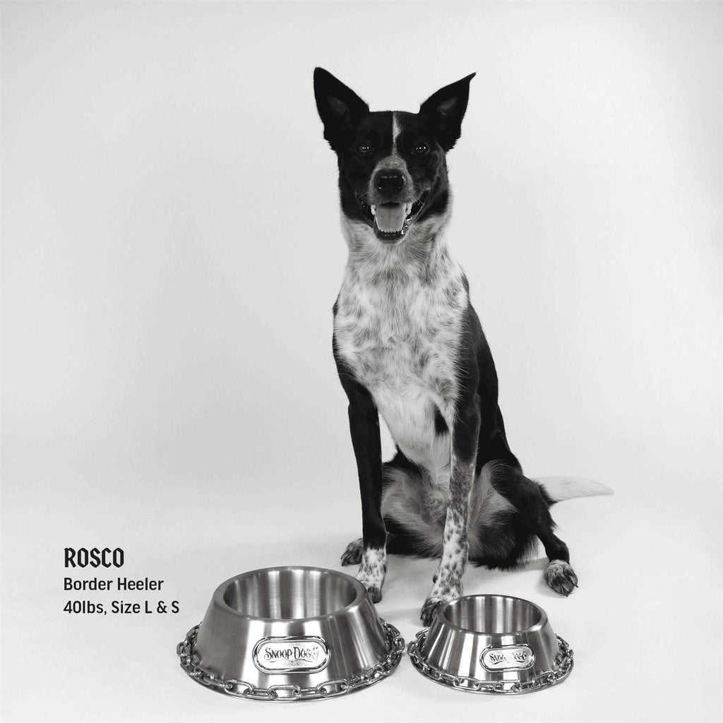 Pet Bowl B98348