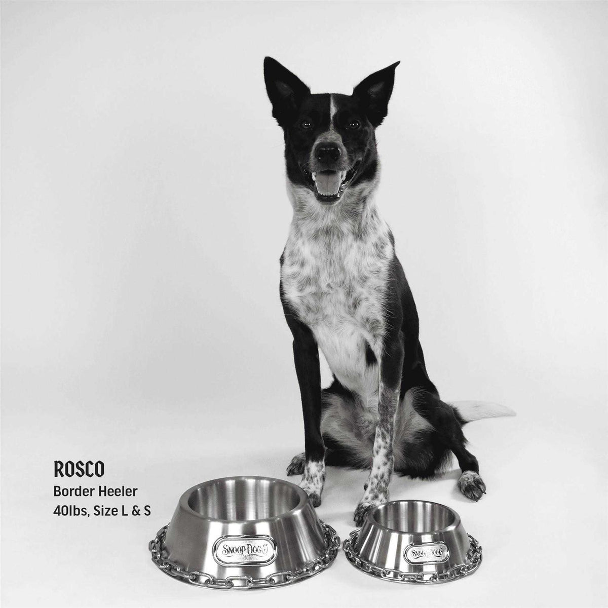 Pet Bowl B98348