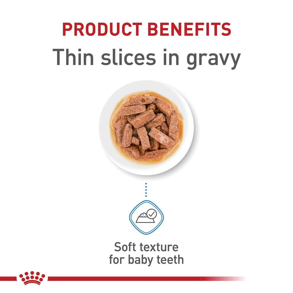 Thin Slices in Gravy Wet Dog Food N17563