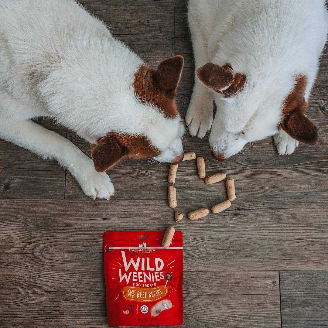 Freeze Dried Dog Treats I903