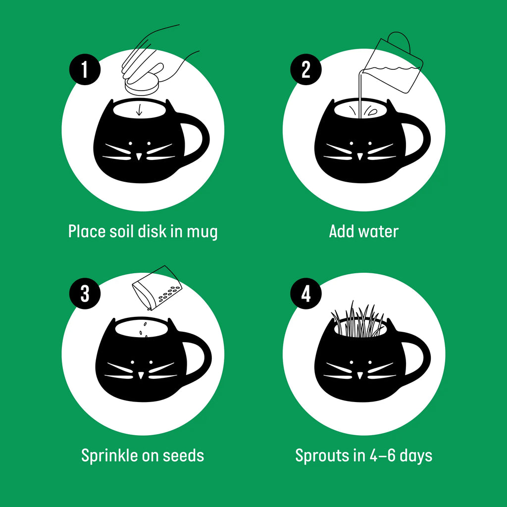 Organic Cat Grass Growing Kit with Mug Planter V713332