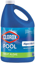 Pool Algaecide G702805