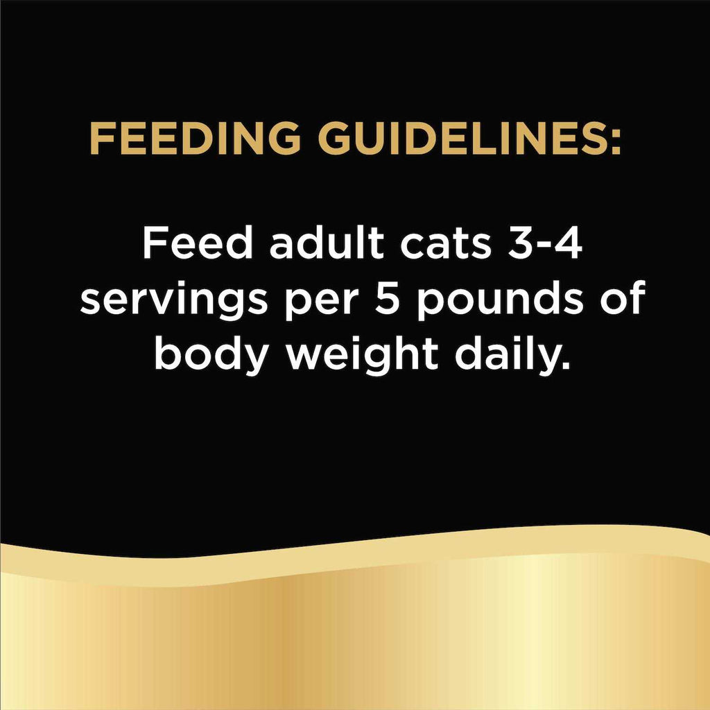 Chicken in Alfredo Sauce Wet Cat Food J7178