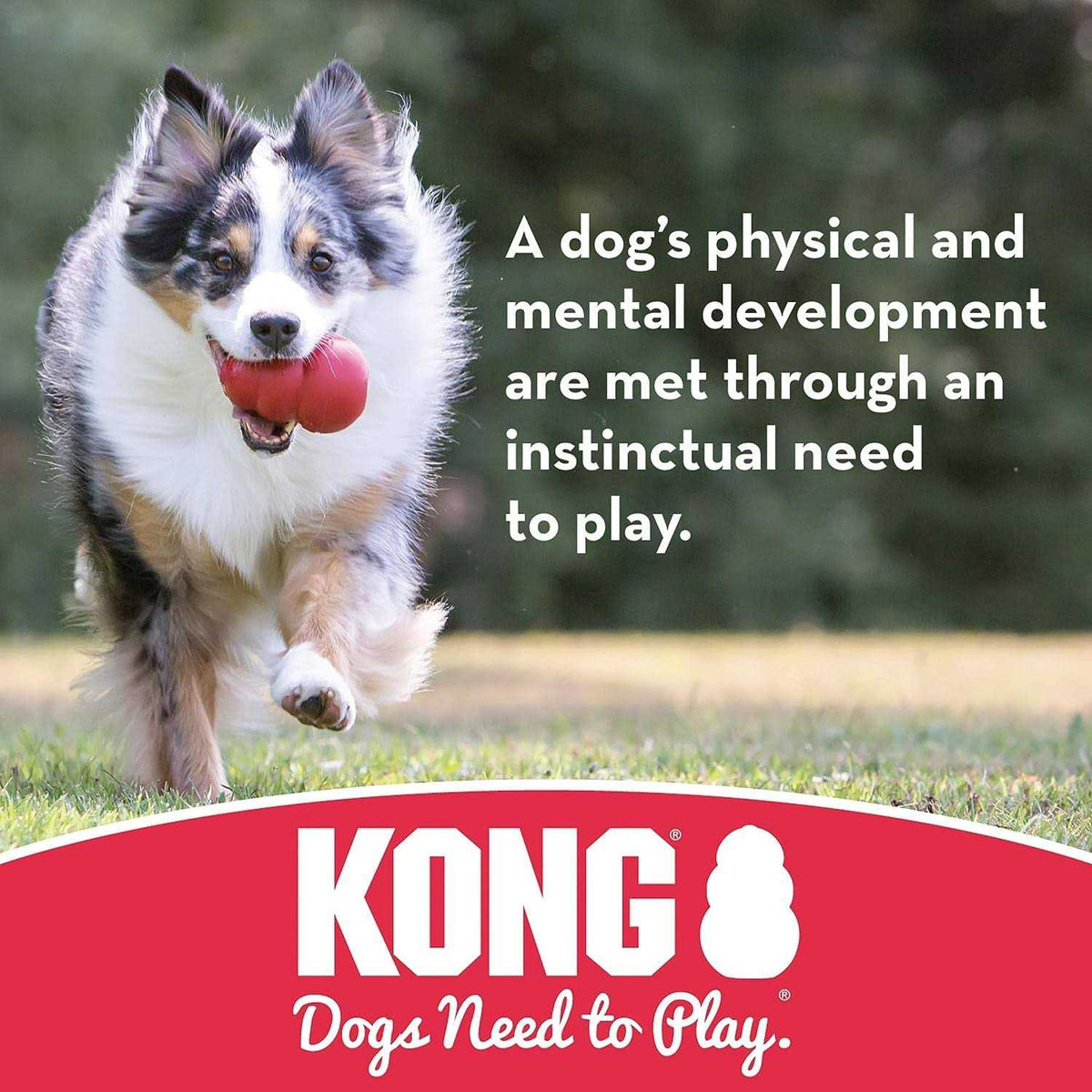 Dog Toy Ball I4159