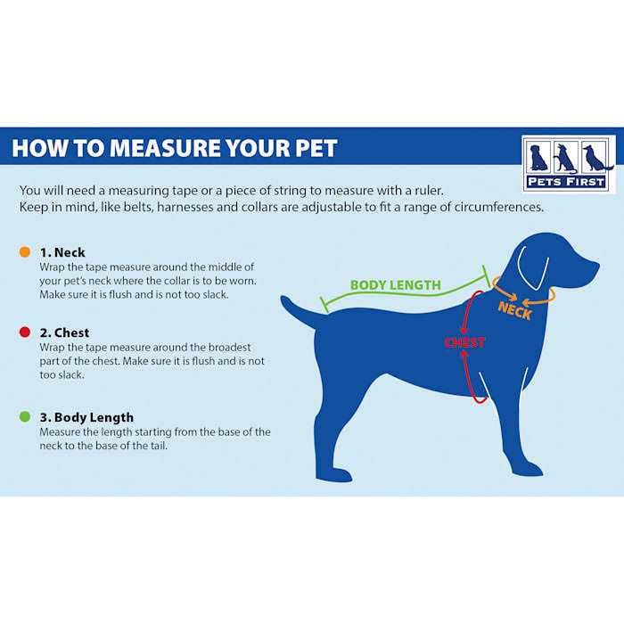 Pet Dog Collar L55378