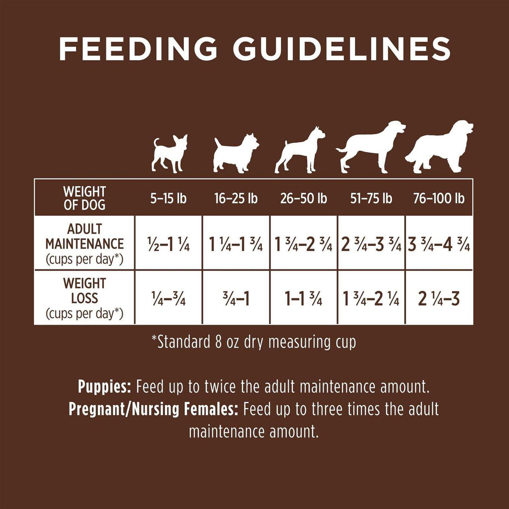 Chicken & Brown Rice Recipe Dry Dog Food B4184
