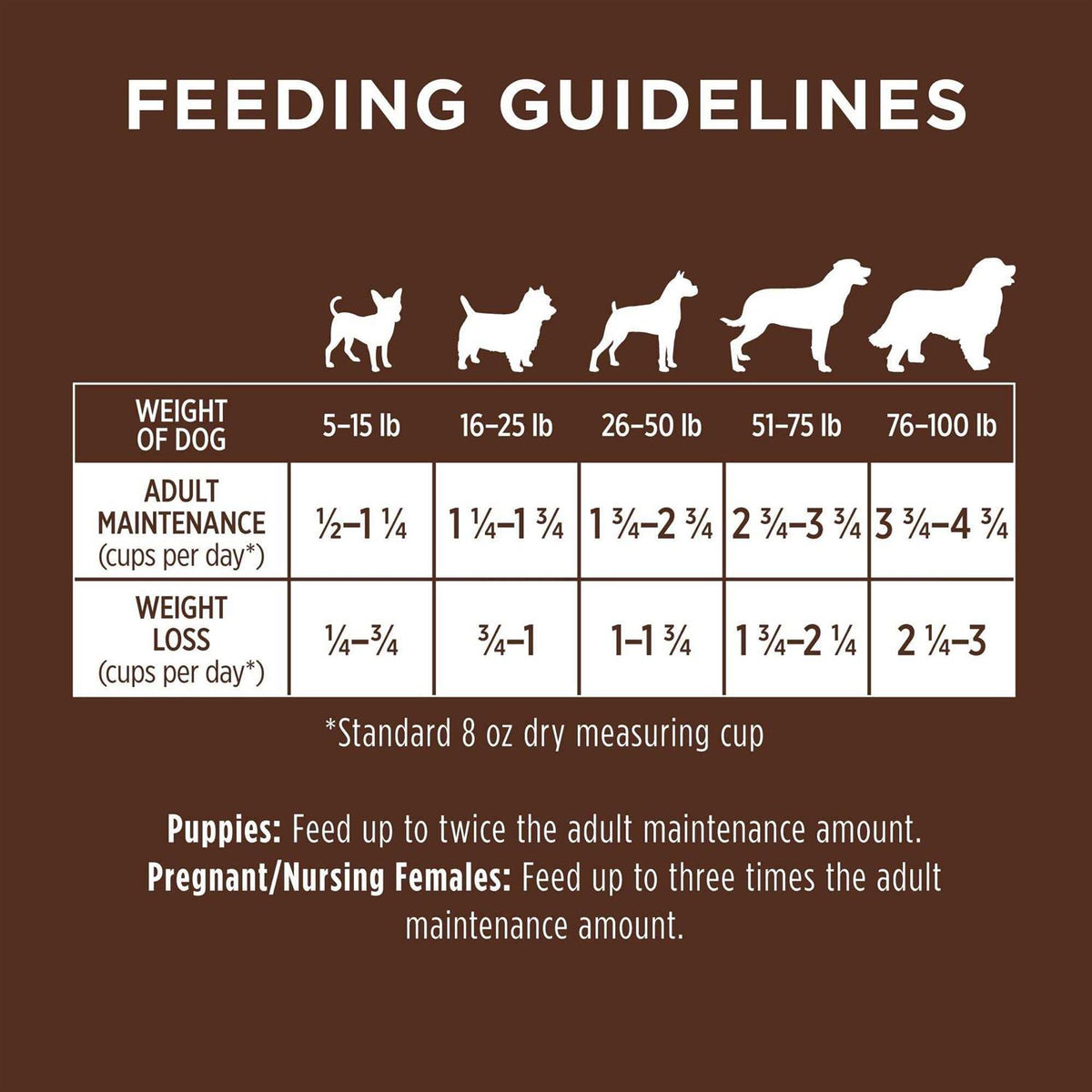Chicken & Brown Rice Recipe Dry Dog Food B4184
