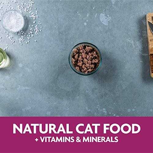 Liver Recipe Wet Cat Food K835