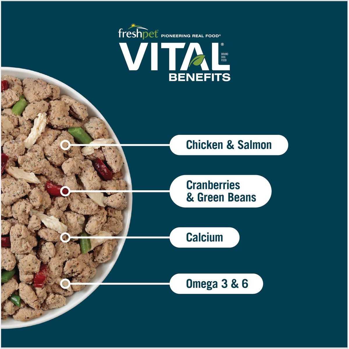 Fresh Dog Food B648397