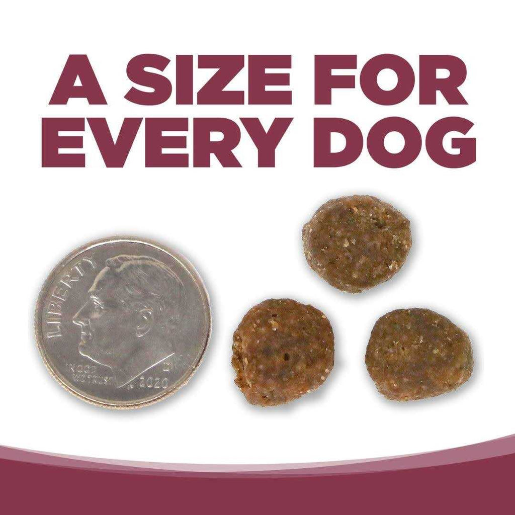 Salmon Potato Dry Dog Food G16324