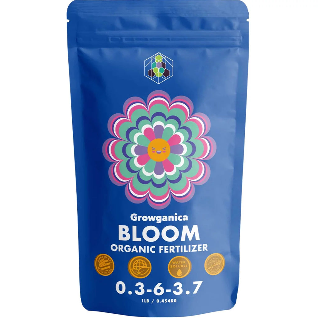 Bloom X122