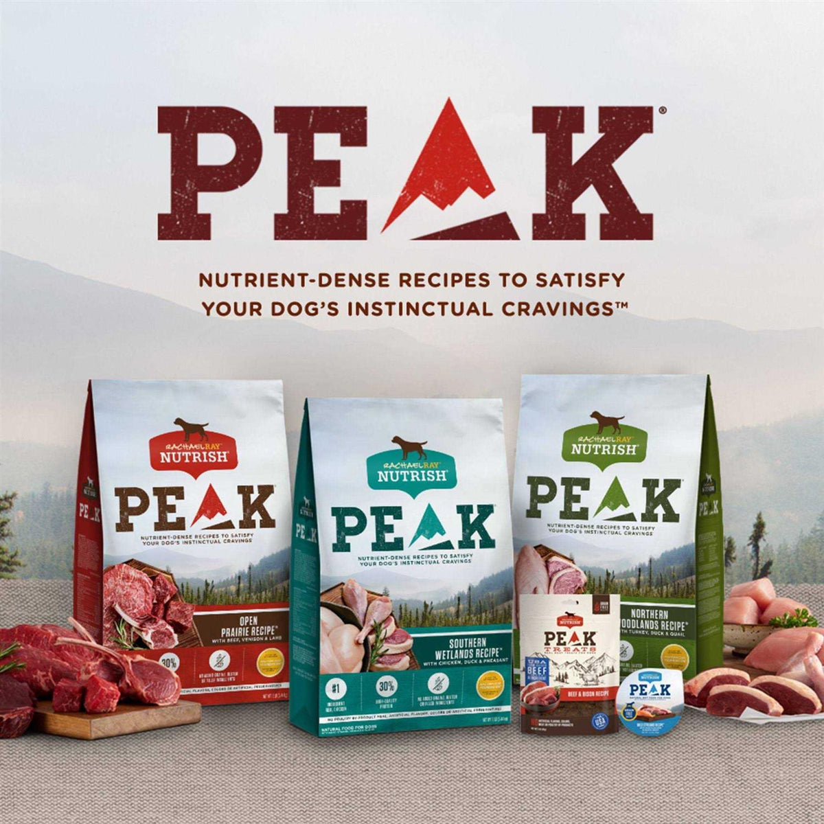 Natural Dry Dog Food with Beef V240