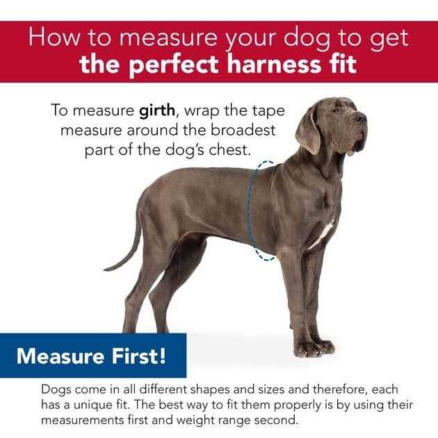 Adjustable Dog Harness Y9516