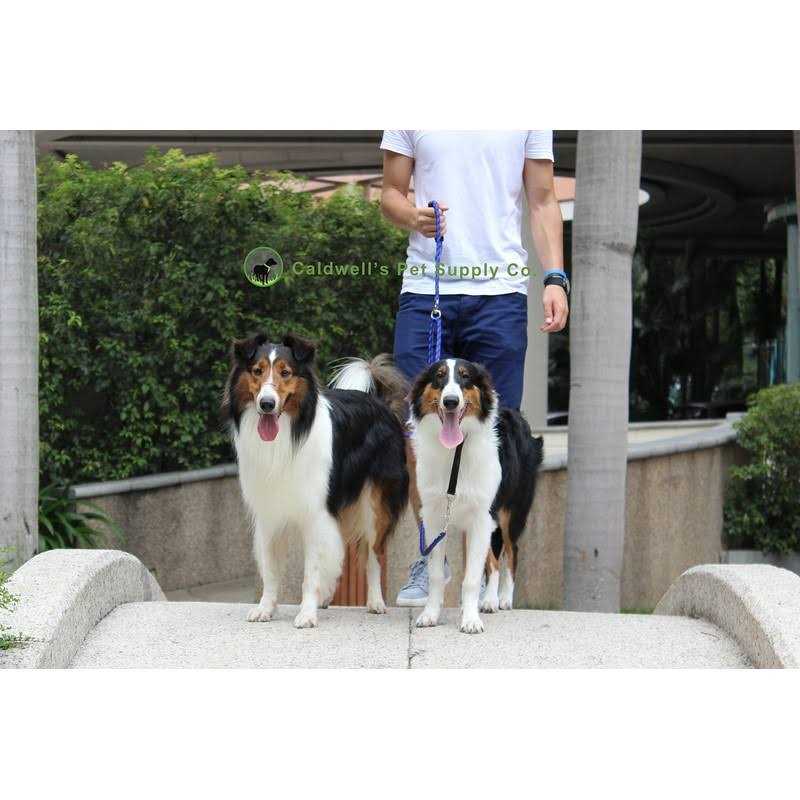 Dual Dog Leash K12362