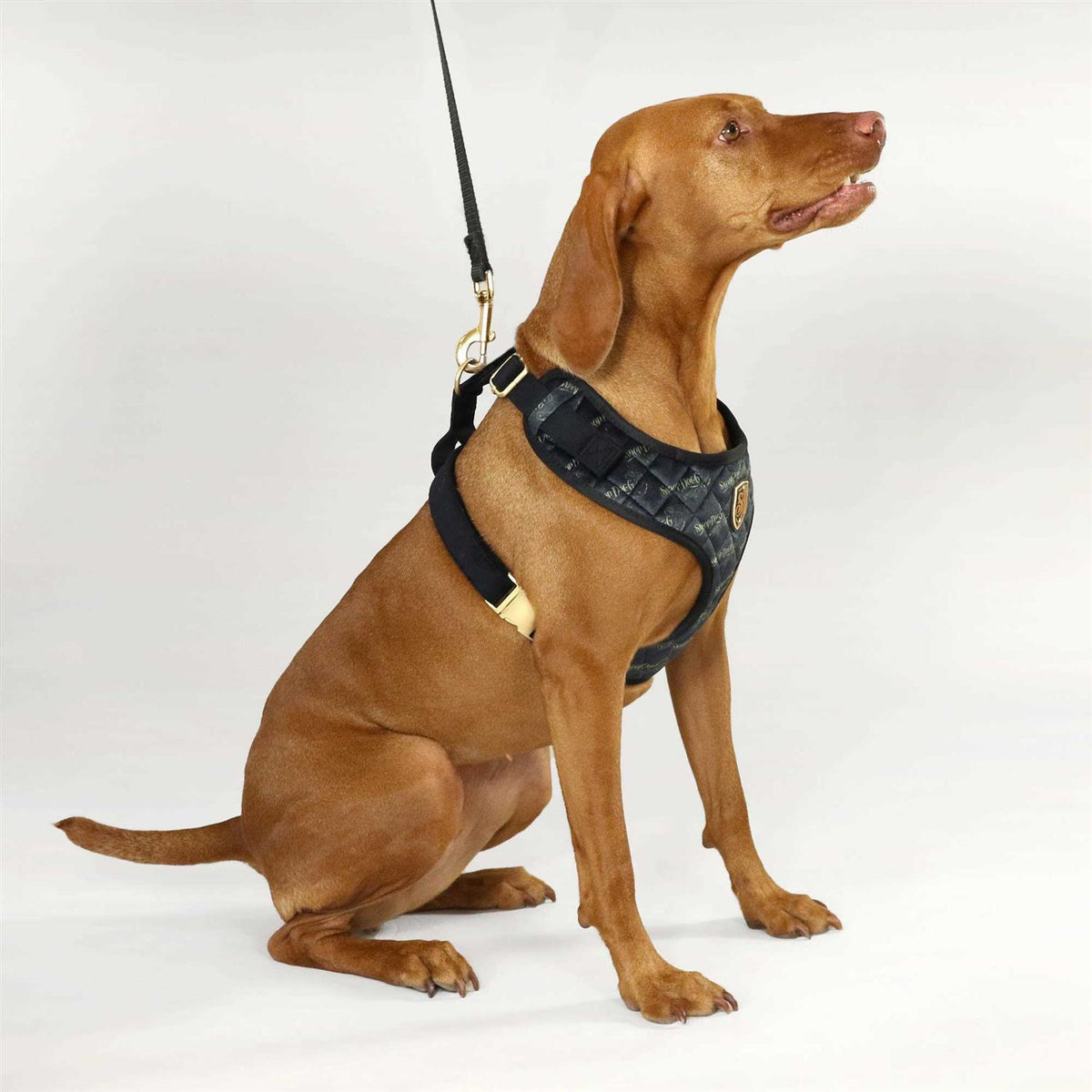 Quilted Pet Harness W452013
