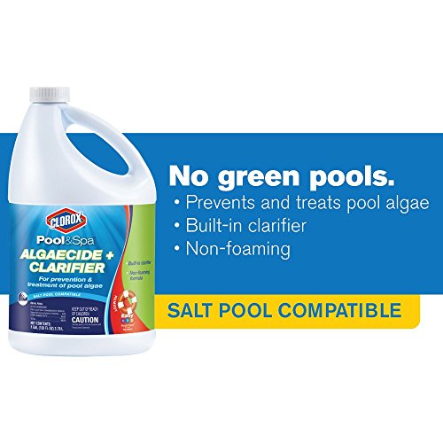 Pool Algaecide G702805