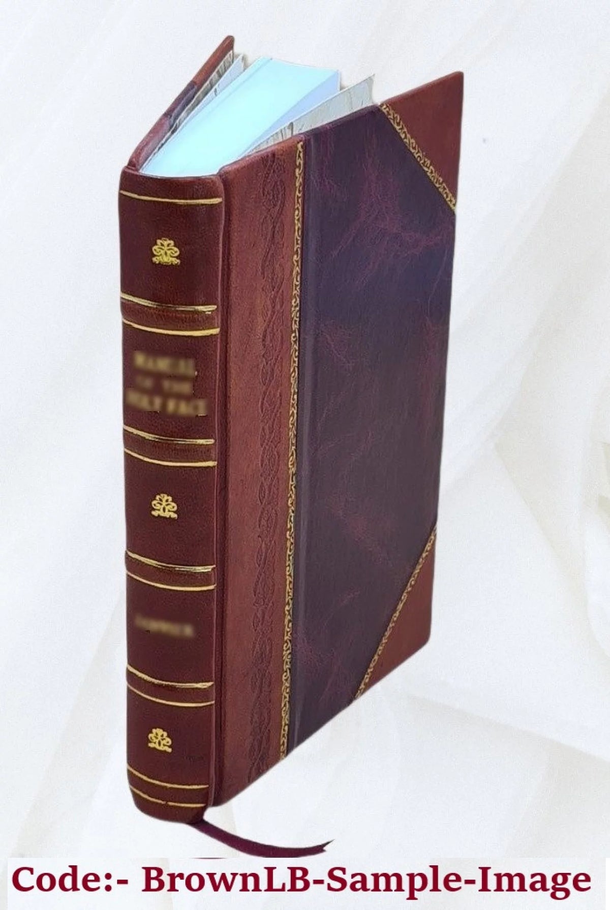 Leather Bound Book F59026