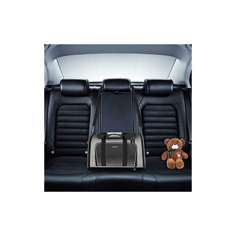 Airline Approved Soft Sided Pet Carrier H9471